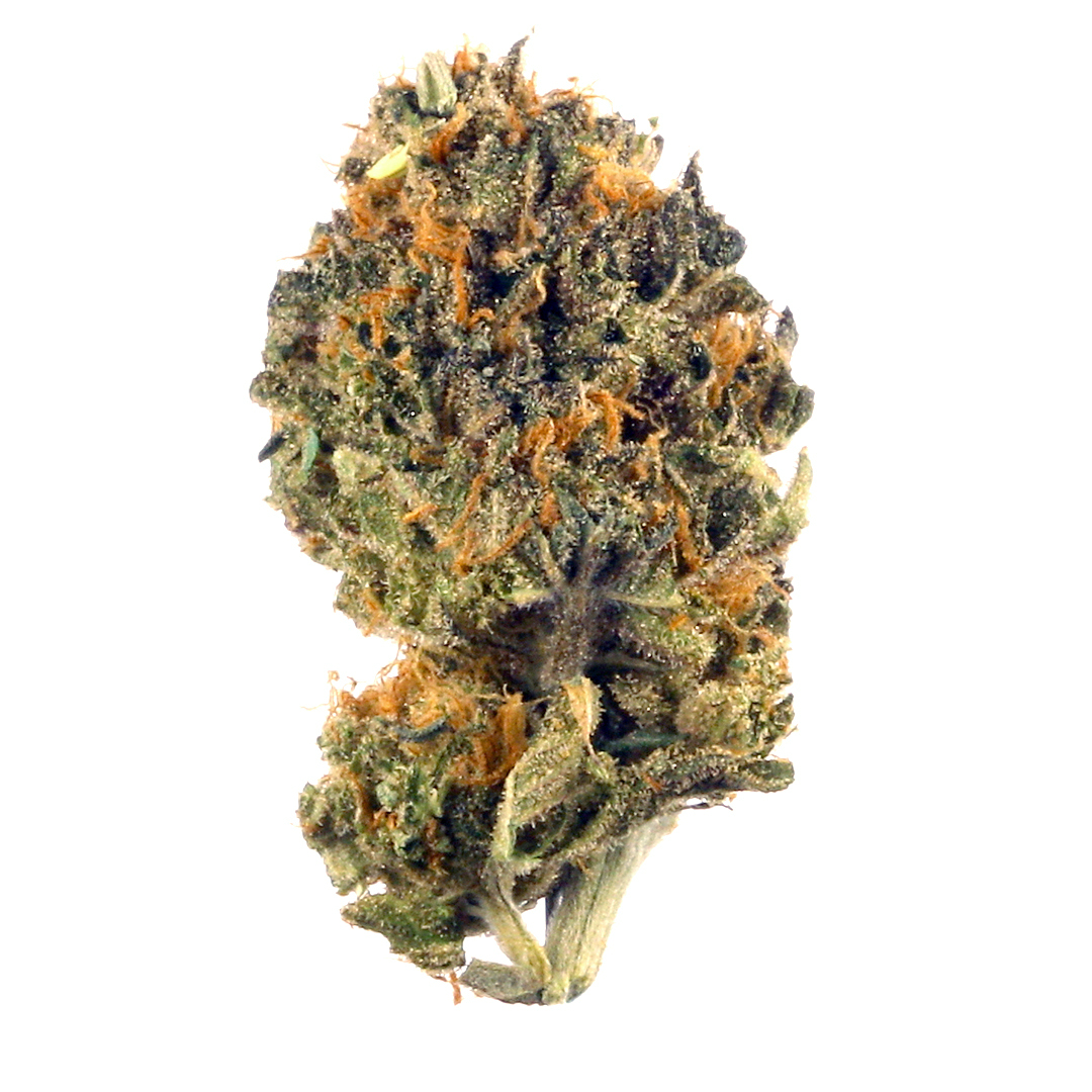 Las Vegas Baby!!! - Sativa 28% THC | Super deal 2oz = $220 + Free 3,5g