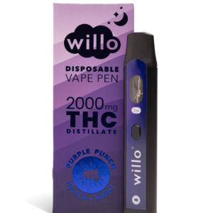 Purple Punch Disposable 2000Mg by Willo