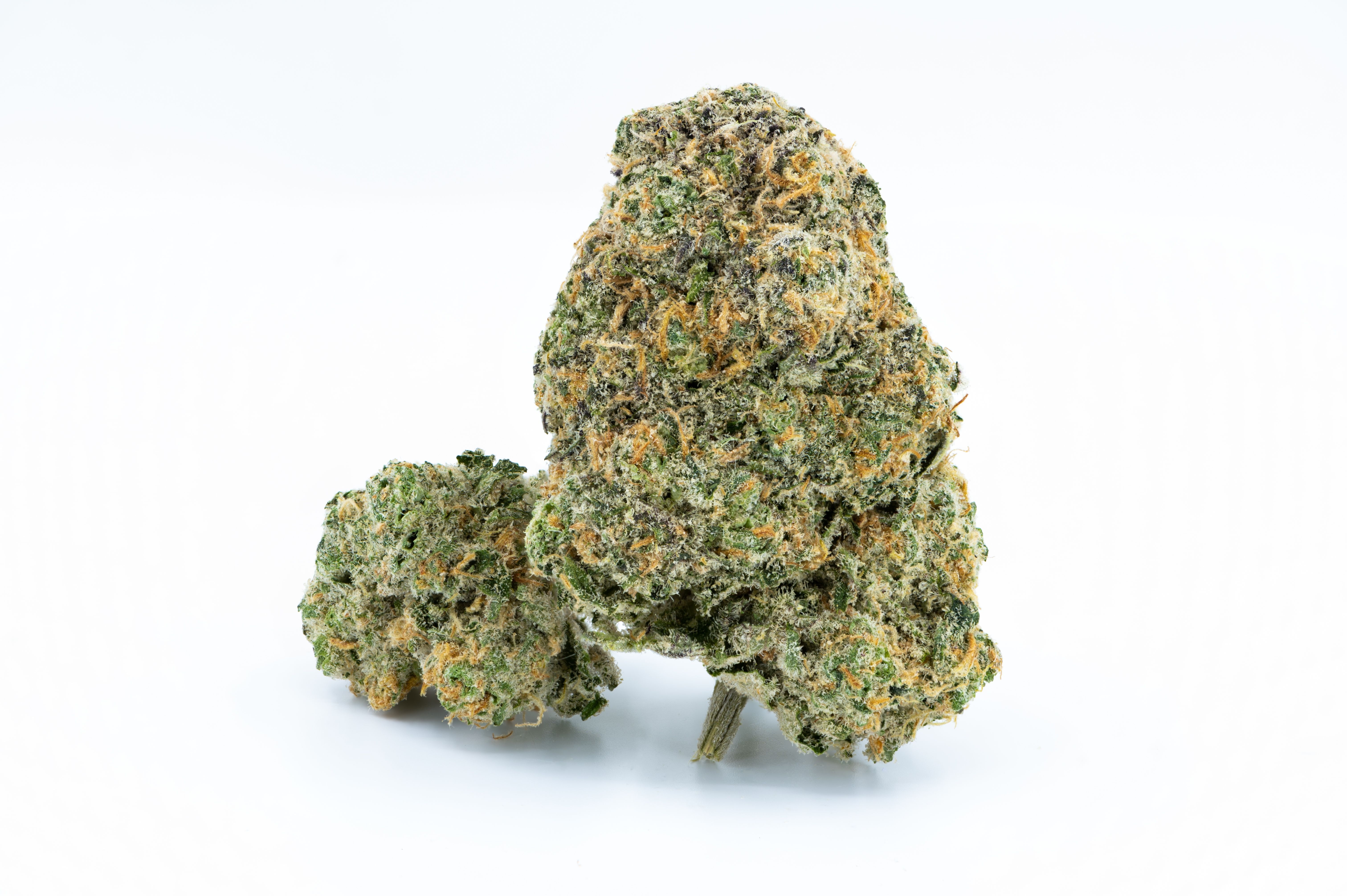 Apple Fritter - Hybrid 30% THC | Super deal 2oz = $250 + GIFT