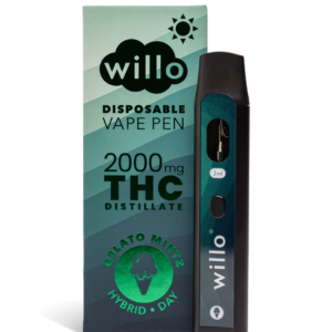 Gelato Mintz Disposable 2000Mg by Willo