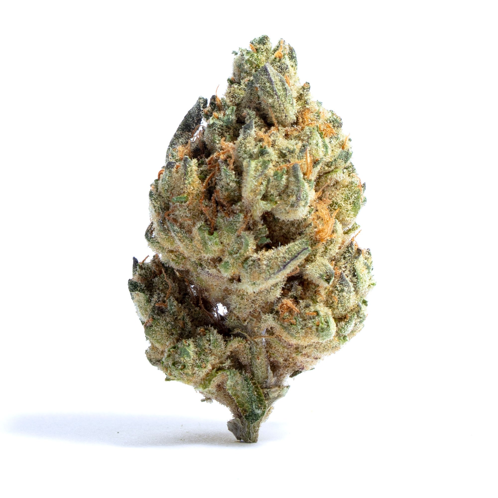 Chocolate Fondue - Sativa  31% THC | 1oz = $160 + $10 OFF on cash purchase