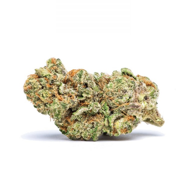 Great White Shark - Sativa 29% THC | Super deal 2oz = $240 + GIFT